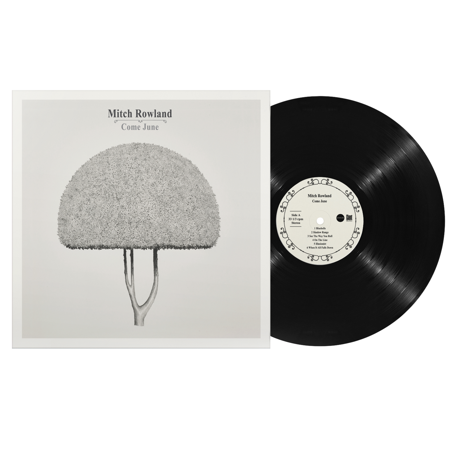 Come June Vinyl Album